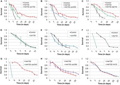 Extension of Cellular Lifespan by Methionine Restriction Involves Alterations in Central Carbon Metabolism and Is Mitophagy-Dependent